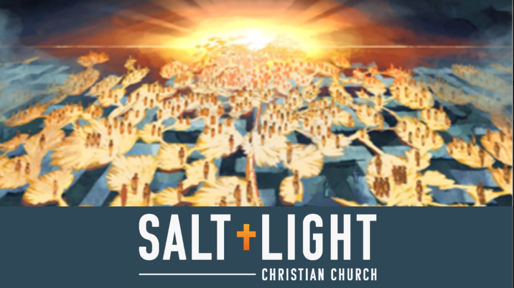 Salt + Light